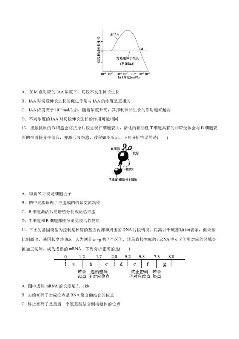 黄金卷02（考试版）-赢在高考&middot;黄金8卷备战2024年高考生物模拟卷（福建专用）_2024年新高考资料_4.2024高考模拟预测试卷