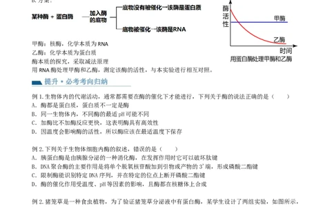 第8讲酶和ATP（讲义）（学生版）_2024年新高考资料_1.2024一轮复习_2024年高考生物一轮复习讲练测（新教材新高考）_第8讲+酶和ATP（讲义）-2024年高考生物一轮复习讲练测（新教材新高考）