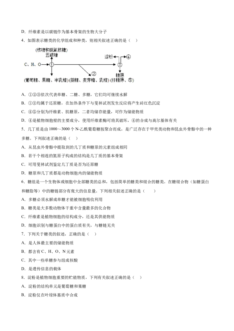 考点通关卷03糖类和脂质（原卷版）_2024年新高考资料_1.2024一轮复习_2024年高考生物一轮复习考点通关卷（新高考通用）_考点通关卷03+糖类和脂质-2024年高考生物一轮复习考点通关卷