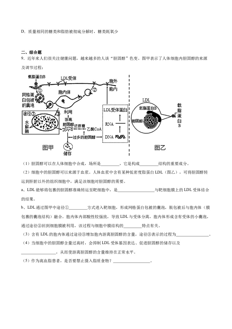 考点通关卷03糖类和脂质（原卷版）_2024年新高考资料_1.2024一轮复习_2024年高考生物一轮复习考点通关卷（新高考通用）_考点通关卷03+糖类和脂质-2024年高考生物一轮复习考点通关卷