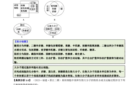 专题04比较归纳型选择题（原卷版）_2025年新高考资料_二轮复习_2025年高考生物二轮热点题型归纳与变式演练（新高考通用）3404350