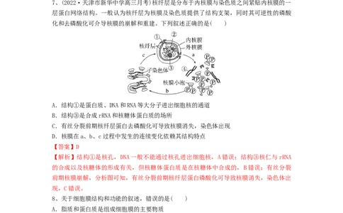 专题04细胞膜和细胞核（精练）（解析版）_新高考复习资料_2024年新高考复习资料_一轮复习资料_完备战2024年高考生物一轮复习串讲精练（新高考专用）_精练_解析版