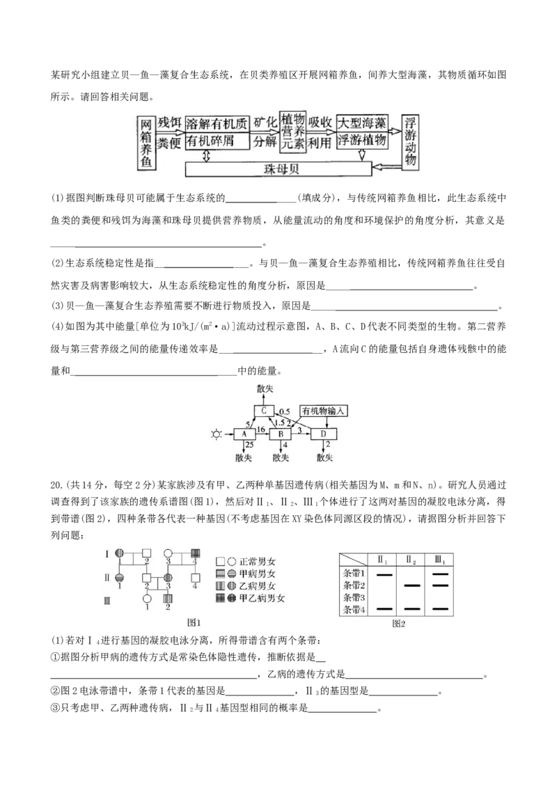 黄金卷01（考试版）-赢在高考&middot;黄金8卷备战2024年高考生物模拟卷（福建专用）_2024年新高考资料_4.2024高考模拟预测试卷