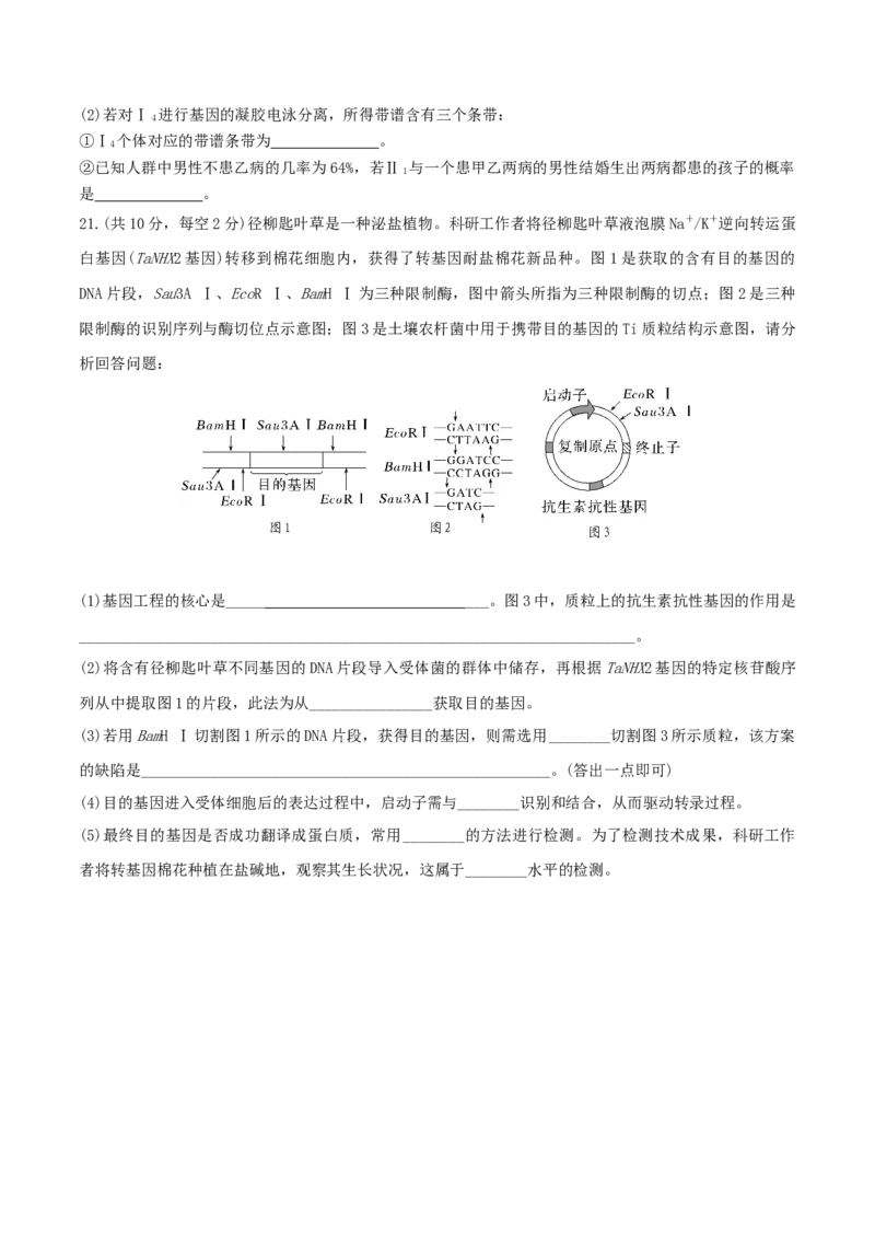黄金卷01（考试版）-赢在高考&middot;黄金8卷备战2024年高考生物模拟卷（福建专用）_2024年新高考资料_4.2024高考模拟预测试卷