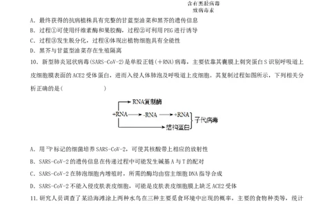 黄金卷01（考试版）-赢在高考&middot;黄金8卷备战2024年高考生物模拟卷（福建专用）_2024年新高考资料_4.2024高考模拟预测试卷