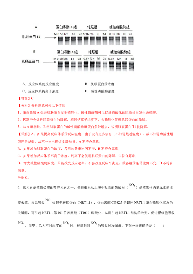 考点通关卷10光合作用（解析版）_2024年新高考资料_1.2024一轮复习_2024年高考生物一轮复习考点通关卷（新高考通用）_考点通关卷10+光合作用-2024年高考生物一轮复习考点通关卷
