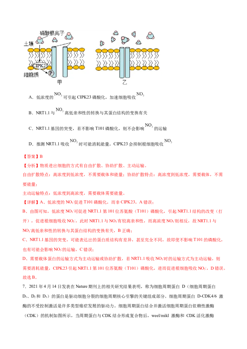 考点通关卷10光合作用（解析版）_2024年新高考资料_1.2024一轮复习_2024年高考生物一轮复习考点通关卷（新高考通用）_考点通关卷10+光合作用-2024年高考生物一轮复习考点通关卷