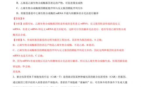 考点通关卷10光合作用（解析版）_2024年新高考资料_1.2024一轮复习_2024年高考生物一轮复习考点通关卷（新高考通用）_考点通关卷10+光合作用-2024年高考生物一轮复习考点通关卷