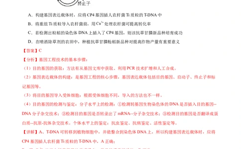 考点通关卷10光合作用（解析版）_2024年新高考资料_1.2024一轮复习_2024年高考生物一轮复习考点通关卷（新高考通用）_考点通关卷10+光合作用-2024年高考生物一轮复习考点通关卷