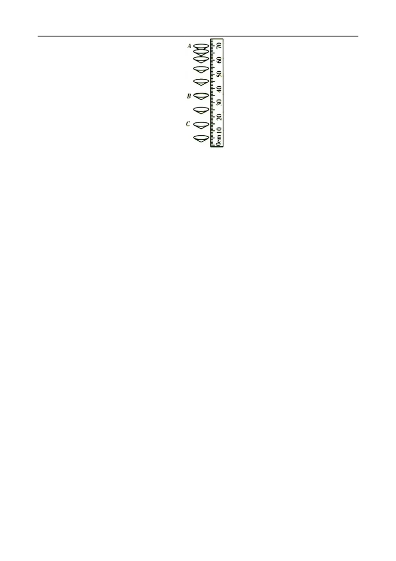 2.&ldquo;速度综合&rdquo;_8、物理总复习_8.中考物理总复习_2024年中考复习资料_专项复习资料_2024年中考物理复习_重难点突破及题型归类
