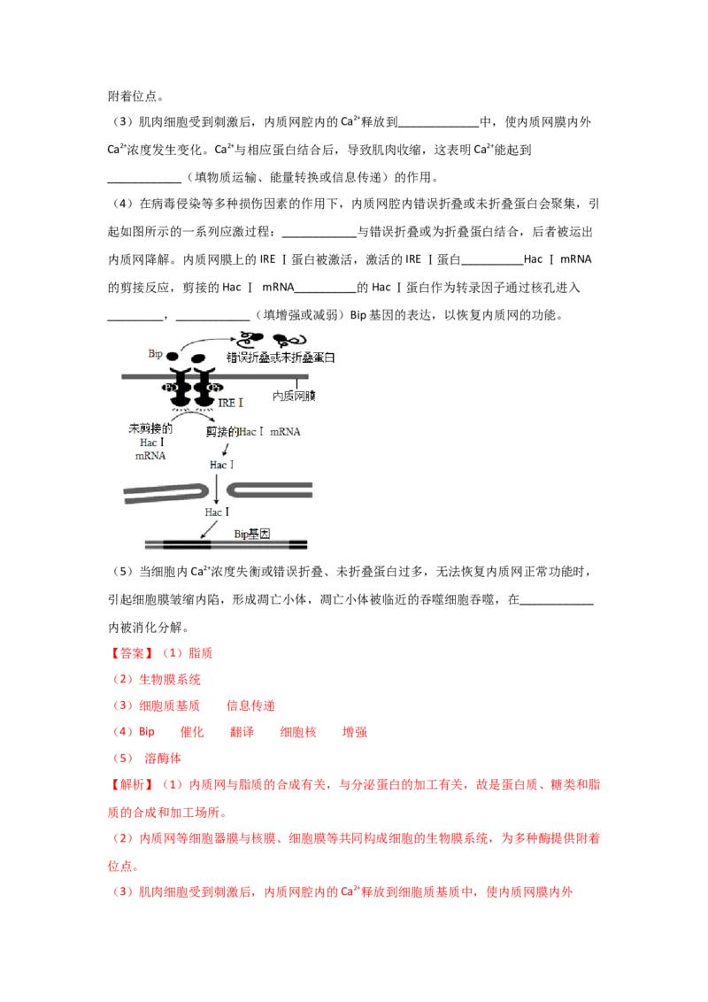 专题05细胞器与生物膜系统(教师版)_新高考复习资料_2023年新高考复习资料_二轮复习_增分要点2023高考生物二轮复习专题解读和分层训练291073137