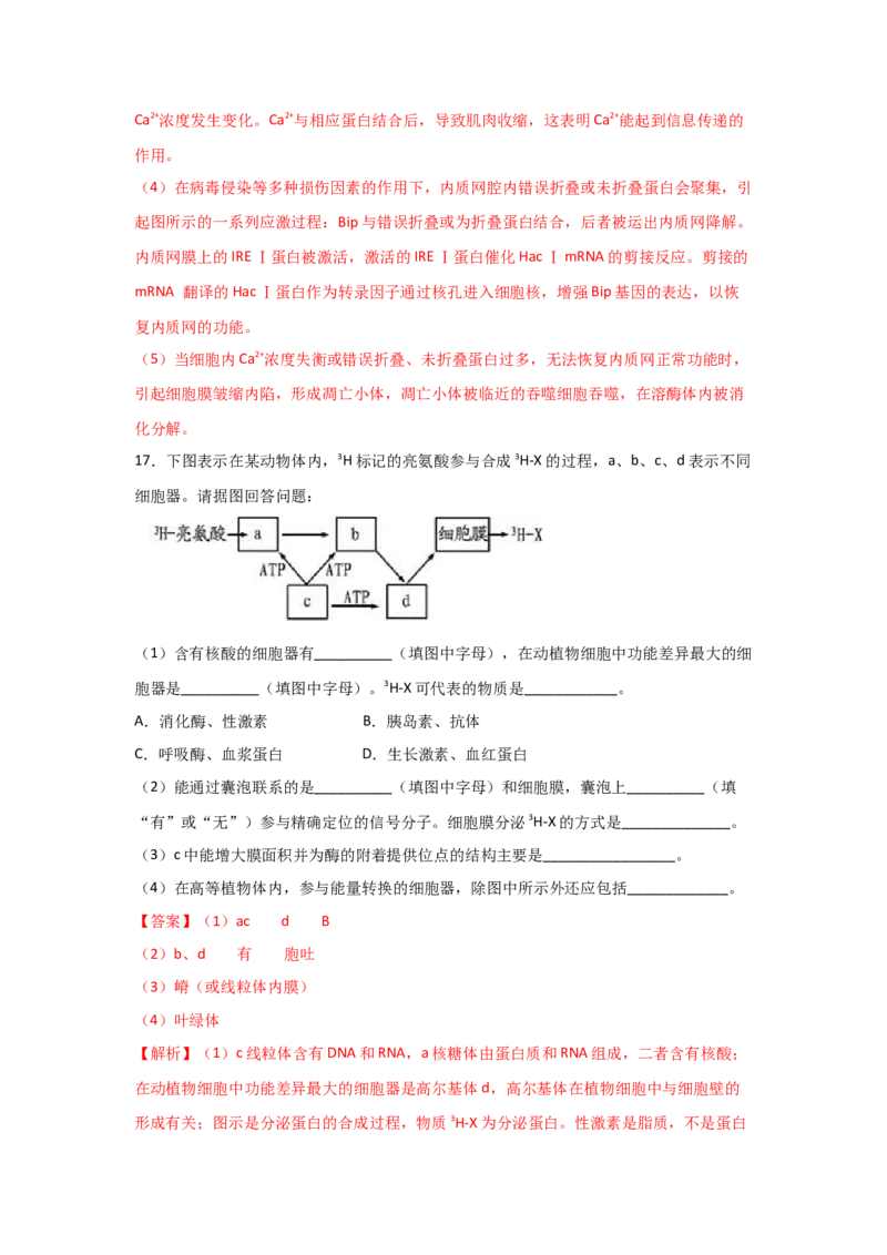 专题05细胞器与生物膜系统(教师版)_新高考复习资料_2023年新高考复习资料_二轮复习_增分要点2023高考生物二轮复习专题解读和分层训练291073137