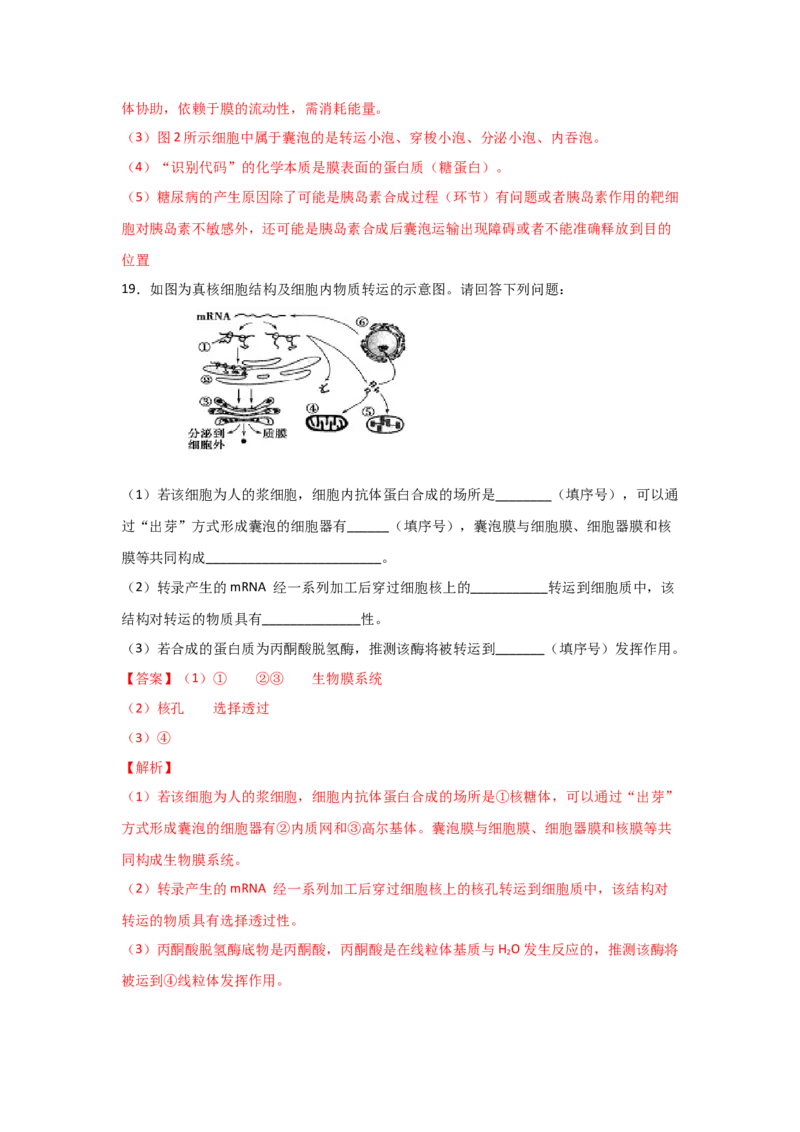 专题05细胞器与生物膜系统(教师版)_新高考复习资料_2023年新高考复习资料_二轮复习_增分要点2023高考生物二轮复习专题解读和分层训练291073137