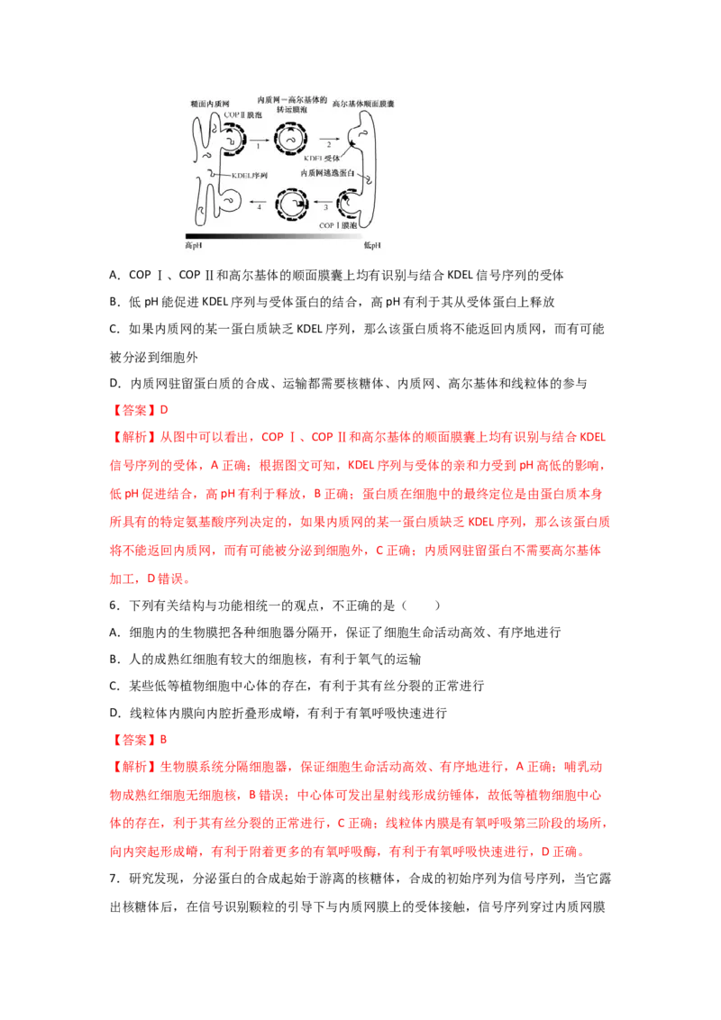 专题05细胞器与生物膜系统(教师版)_新高考复习资料_2023年新高考复习资料_二轮复习_增分要点2023高考生物二轮复习专题解读和分层训练291073137
