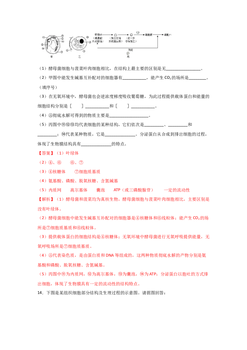 专题05细胞器与生物膜系统(教师版)_新高考复习资料_2023年新高考复习资料_二轮复习_增分要点2023高考生物二轮复习专题解读和分层训练291073137