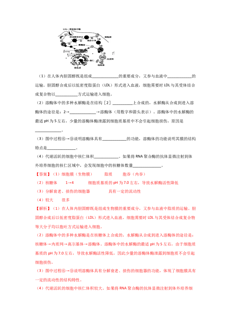 专题05细胞器与生物膜系统(教师版)_新高考复习资料_2023年新高考复习资料_二轮复习_增分要点2023高考生物二轮复习专题解读和分层训练291073137