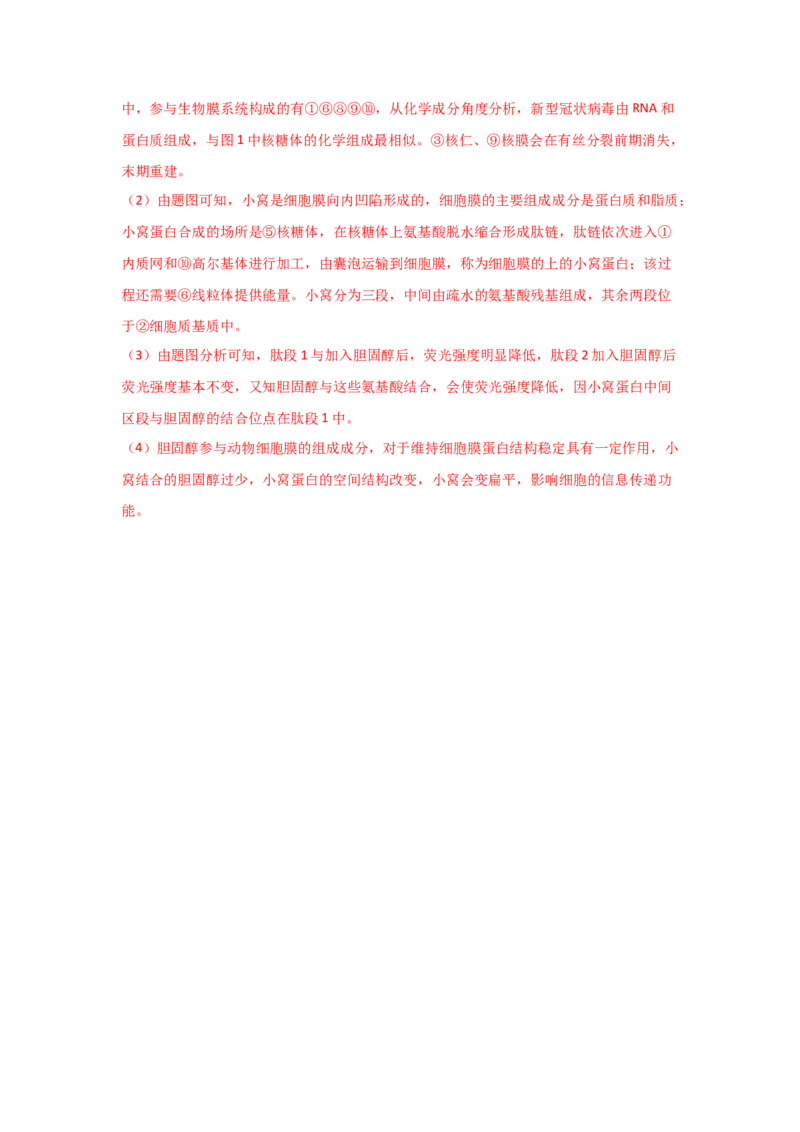 专题05细胞器与生物膜系统(教师版)_新高考复习资料_2023年新高考复习资料_二轮复习_增分要点2023高考生物二轮复习专题解读和分层训练291073137