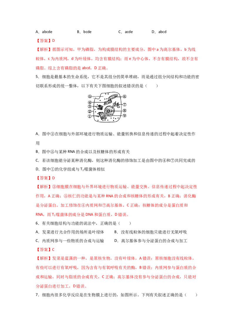 专题05细胞器与生物膜系统(教师版)_新高考复习资料_2023年新高考复习资料_二轮复习_增分要点2023高考生物二轮复习专题解读和分层训练291073137