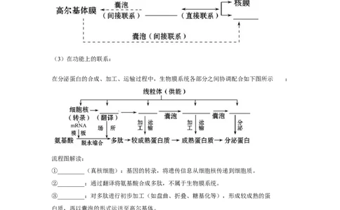 专题05细胞器与生物膜系统(教师版)_新高考复习资料_2023年新高考复习资料_二轮复习_增分要点2023高考生物二轮复习专题解读和分层训练291073137