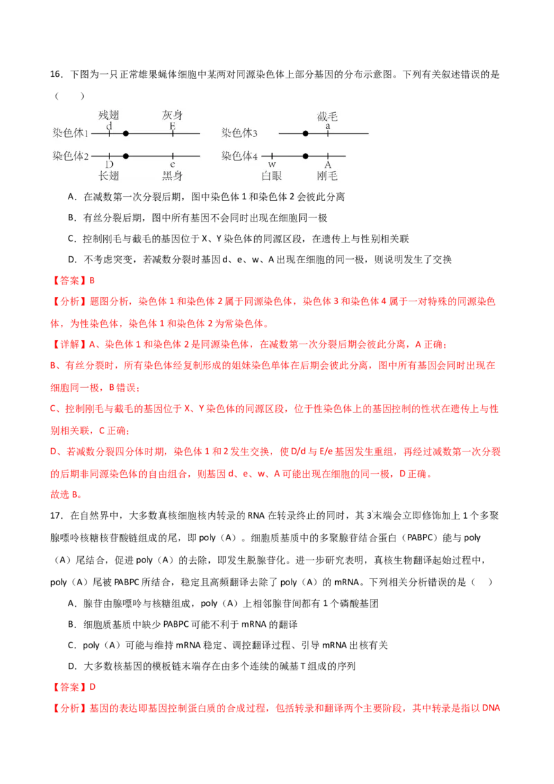 黄金卷01（解析版）-赢在高考&middot;黄金8卷备战2024年高考生物模拟卷（全国专用）_2024年新高考资料_4.2024高考模拟预测试卷