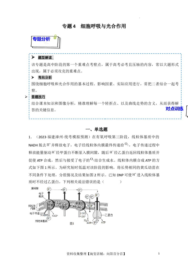 专题04细胞呼吸和光合作用（原卷版）_新高考复习资料_2024年新高考复习资料_一轮复习资料_完备战2024年高考生物一轮复习重难点突破讲解与训练（新教材）