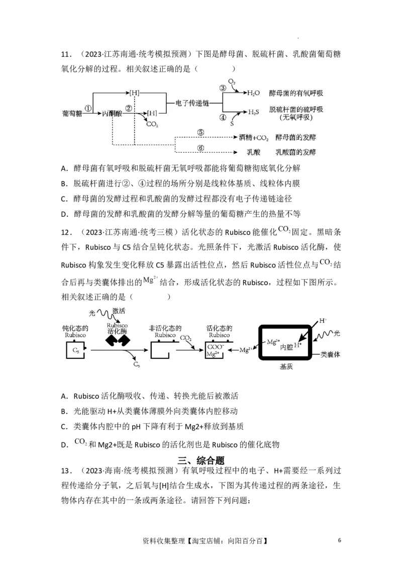 专题04细胞呼吸和光合作用（原卷版）_新高考复习资料_2024年新高考复习资料_一轮复习资料_完备战2024年高考生物一轮复习重难点突破讲解与训练（新教材）