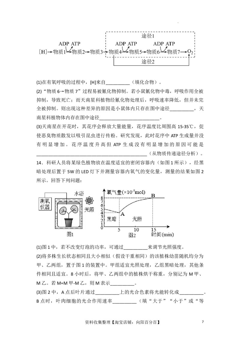 专题04细胞呼吸和光合作用（原卷版）_新高考复习资料_2024年新高考复习资料_一轮复习资料_完备战2024年高考生物一轮复习重难点突破讲解与训练（新教材）