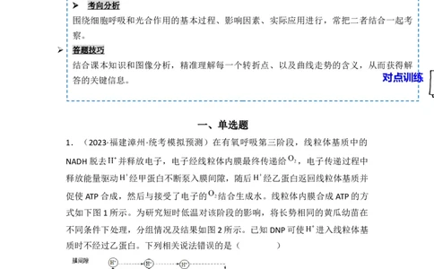 专题04细胞呼吸和光合作用（原卷版）_新高考复习资料_2024年新高考复习资料_一轮复习资料_完备战2024年高考生物一轮复习重难点突破讲解与训练（新教材）