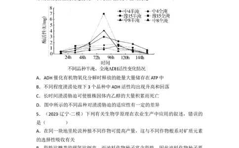 专题04细胞呼吸和光合作用（原卷版）_新高考复习资料_2024年新高考复习资料_一轮复习资料_完备战2024年高考生物一轮复习重难点突破讲解与训练（新教材）