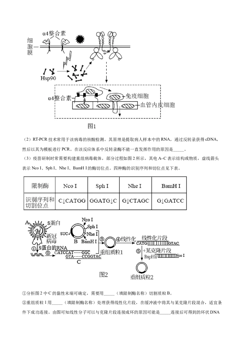 黄金卷01（解析版）-赢在高考&middot;黄金8卷备战2024年高考生物模拟卷（山东专用）_2024年新高考资料_4.2024高考模拟预测试卷