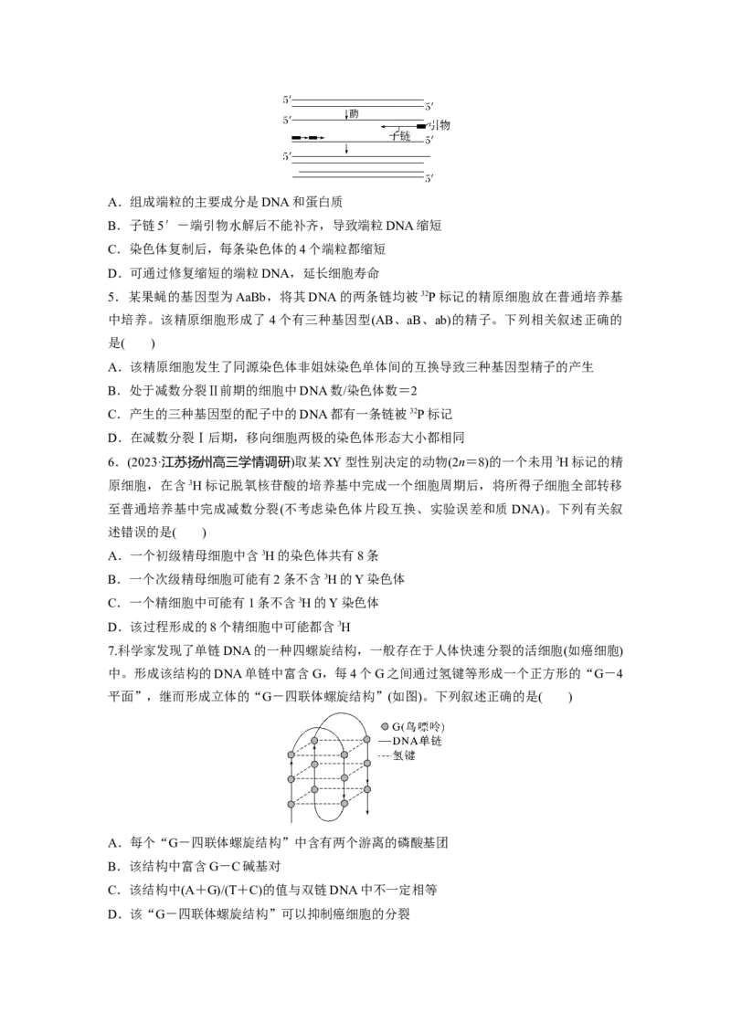第6单元　课时练2　DNA的结构与复制_2024年新高考资料_1.2024一轮复习_2024年高考生物一轮复习讲义（新人教版）_学生版在此文件夹_一轮复习69练_第六单元　遗传的物质基础