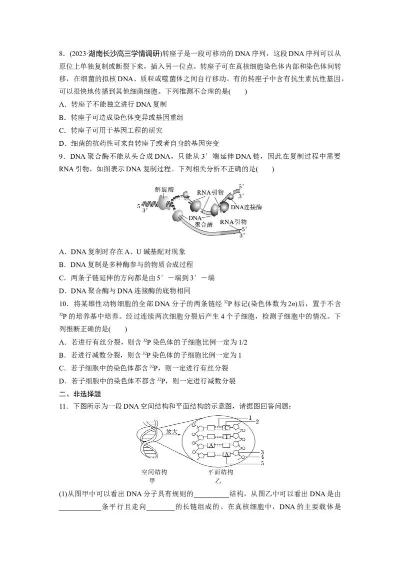 第6单元　课时练2　DNA的结构与复制_2024年新高考资料_1.2024一轮复习_2024年高考生物一轮复习讲义（新人教版）_学生版在此文件夹_一轮复习69练_第六单元　遗传的物质基础