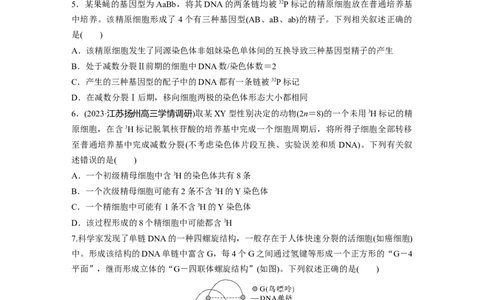 第6单元　课时练2　DNA的结构与复制_2024年新高考资料_1.2024一轮复习_2024年高考生物一轮复习讲义（新人教版）_学生版在此文件夹_一轮复习69练_第六单元　遗传的物质基础