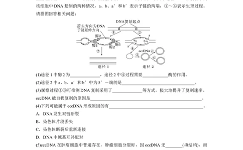 第6单元　课时练2　DNA的结构与复制_2024年新高考资料_1.2024一轮复习_2024年高考生物一轮复习讲义（新人教版）_学生版在此文件夹_一轮复习69练_第六单元　遗传的物质基础