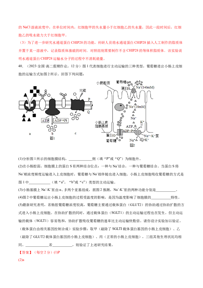 第二单元细胞的结构、功能和物质运输（测试）（解析版）_2024年新高考资料_1.2024一轮复习_2024年高考生物一轮复习讲练测（新教材新高考）