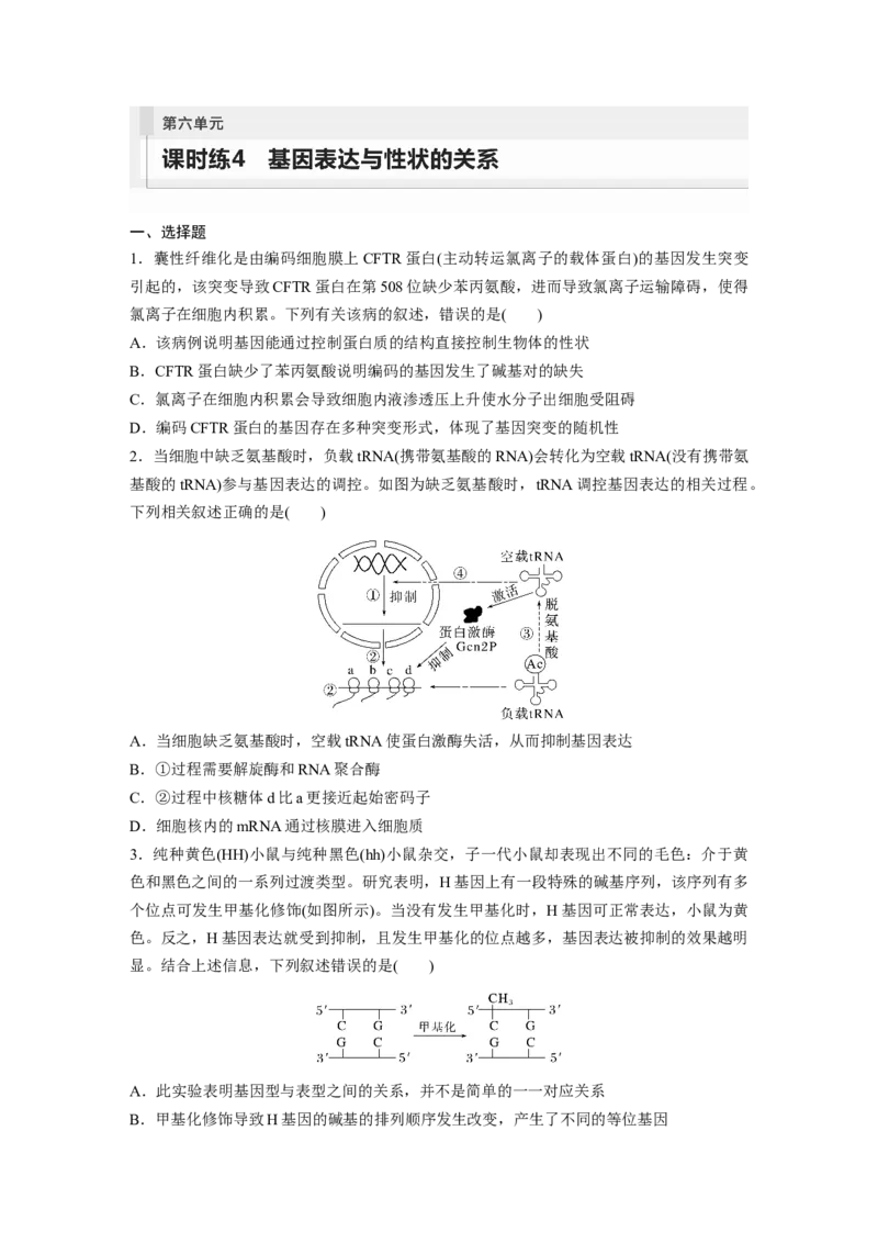 第6单元　课时练4　基因表达与性状的关系_2024年新高考资料_1.2024一轮复习_2024年高考生物一轮复习讲义（新人教版）_学生版在此文件夹_一轮复习69练_第六单元　遗传的物质基础