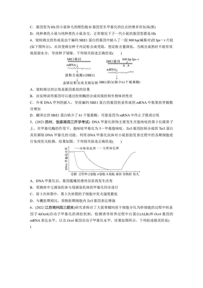 第6单元　课时练4　基因表达与性状的关系_2024年新高考资料_1.2024一轮复习_2024年高考生物一轮复习讲义（新人教版）_学生版在此文件夹_一轮复习69练_第六单元　遗传的物质基础