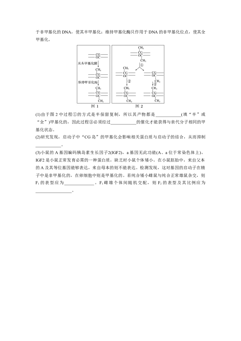 第6单元　课时练4　基因表达与性状的关系_2024年新高考资料_1.2024一轮复习_2024年高考生物一轮复习讲义（新人教版）_学生版在此文件夹_一轮复习69练_第六单元　遗传的物质基础
