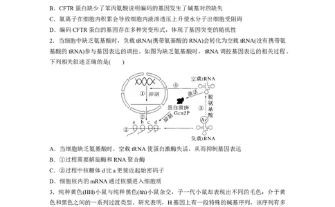 第6单元　课时练4　基因表达与性状的关系_2024年新高考资料_1.2024一轮复习_2024年高考生物一轮复习讲义（新人教版）_学生版在此文件夹_一轮复习69练_第六单元　遗传的物质基础