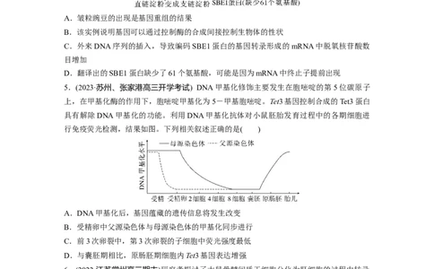 第6单元　课时练4　基因表达与性状的关系_2024年新高考资料_1.2024一轮复习_2024年高考生物一轮复习讲义（新人教版）_学生版在此文件夹_一轮复习69练_第六单元　遗传的物质基础