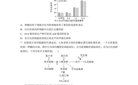 第6单元　课时练4　基因表达与性状的关系_2024年新高考资料_1.2024一轮复习_2024年高考生物一轮复习讲义（新人教版）_学生版在此文件夹_一轮复习69练_第六单元　遗传的物质基础