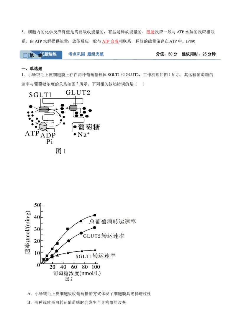 考点通关卷08酶和ATP（解析版）_2024年新高考资料_1.2024一轮复习_2024年高考生物一轮复习考点通关卷（新高考通用）_考点通关卷08+酶和ATP-2024年高考生物一轮复习考点通关卷