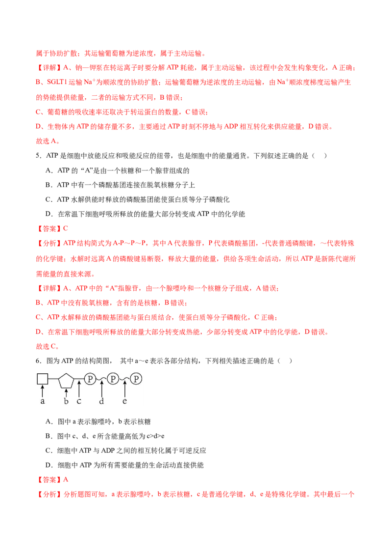 考点通关卷08酶和ATP（解析版）_2024年新高考资料_1.2024一轮复习_2024年高考生物一轮复习考点通关卷（新高考通用）_考点通关卷08+酶和ATP-2024年高考生物一轮复习考点通关卷