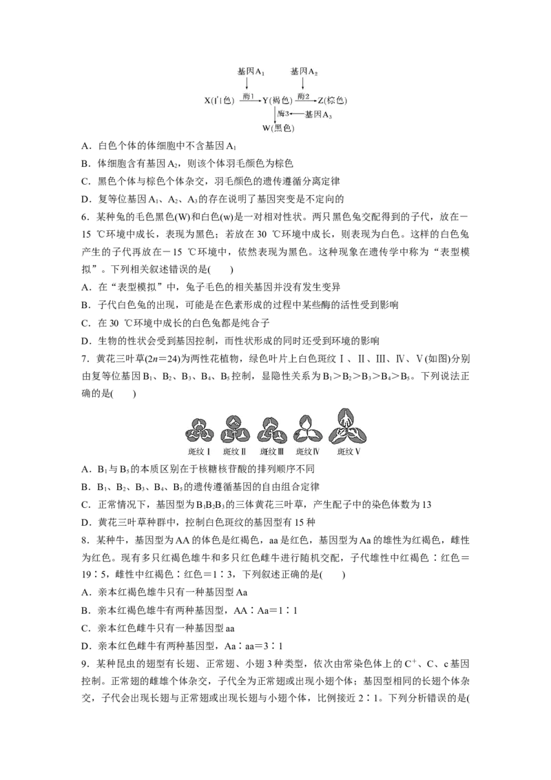 第5单元　课时练3　基因分离定律拓展题型突破_2024年新高考资料_1.2024一轮复习_2024年高考生物一轮复习讲义（新人教版）_学生版在此文件夹_一轮复习69练_第五单元　基因的传递规律