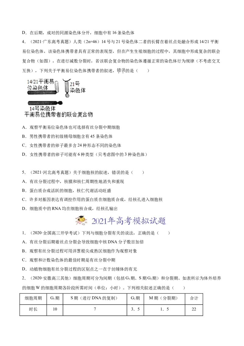 专题04有丝分裂和减数分裂-2021年高考真题和模拟题生物分项汇编（原卷版）_新高考复习资料_2022年新高考复习资料_2021年高考真题和模拟题生物分项汇编7.30更新
