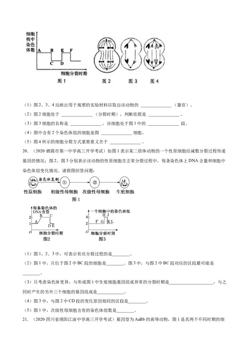 专题04有丝分裂和减数分裂-2021年高考真题和模拟题生物分项汇编（原卷版）_新高考复习资料_2022年新高考复习资料_2021年高考真题和模拟题生物分项汇编7.30更新
