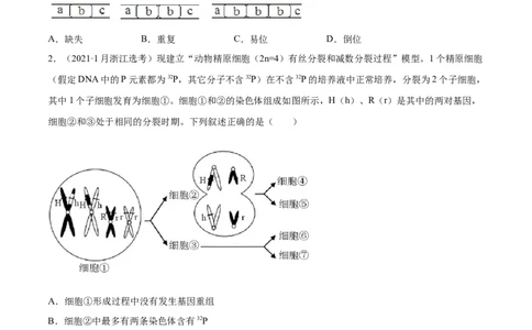 专题04有丝分裂和减数分裂-2021年高考真题和模拟题生物分项汇编（原卷版）_新高考复习资料_2022年新高考复习资料_2021年高考真题和模拟题生物分项汇编7.30更新