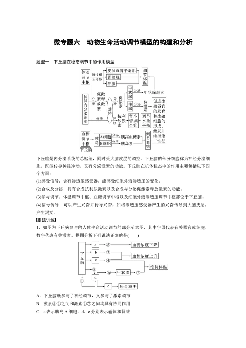 第8单元　微专题六　动物生命活动调节模型的构建和分析_2024年新高考资料_1.2024一轮复习_2024年高考生物一轮复习讲义（新人教版）_学生版在此文件夹_大一轮复习讲义