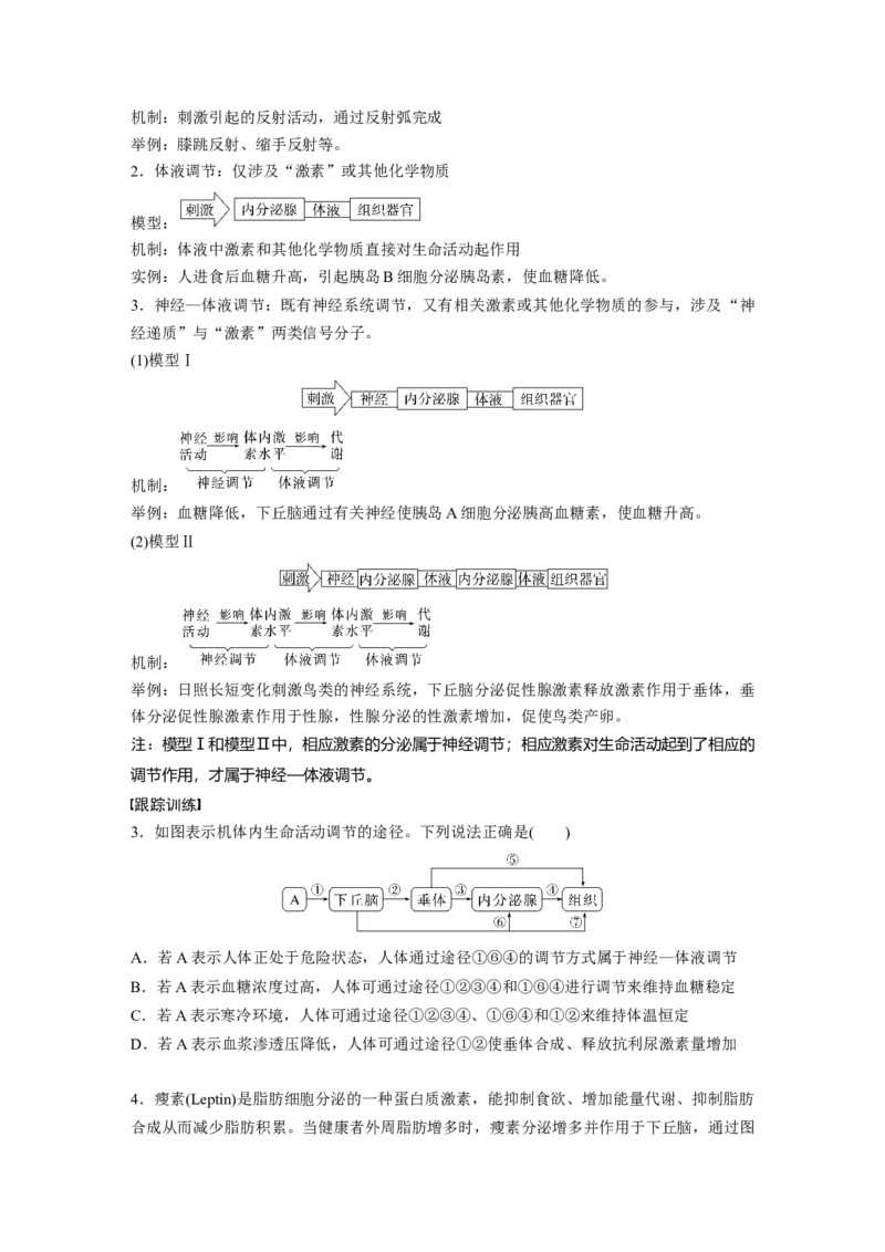 第8单元　微专题六　动物生命活动调节模型的构建和分析_2024年新高考资料_1.2024一轮复习_2024年高考生物一轮复习讲义（新人教版）_学生版在此文件夹_大一轮复习讲义