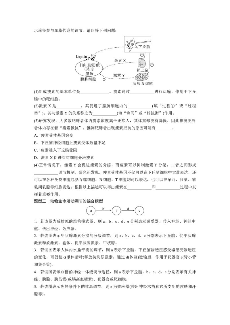 第8单元　微专题六　动物生命活动调节模型的构建和分析_2024年新高考资料_1.2024一轮复习_2024年高考生物一轮复习讲义（新人教版）_学生版在此文件夹_大一轮复习讲义